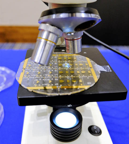 A microfluidic chip on a microscope.