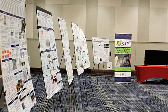 Research posters lined up in the conference hall