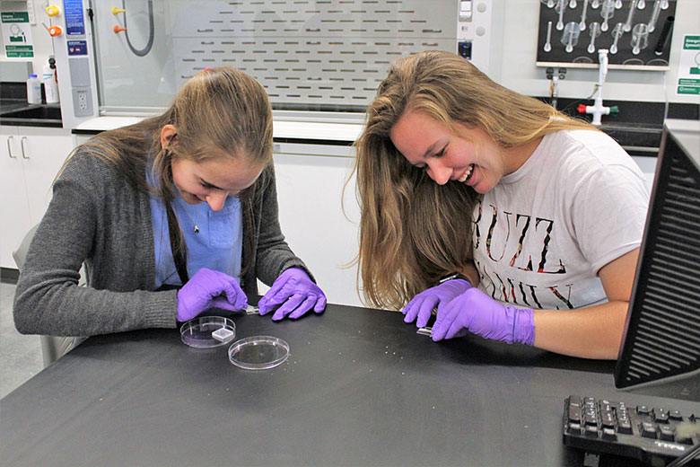 Renee Kryk (left) and Mikayla Hoyle (right) shave excess silver from the electrodes on their chips