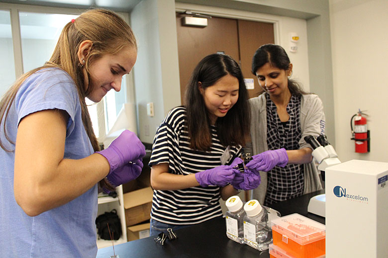 Renee, Yeonzu, and Harshani work on clamping together glass plates around their microfluidic chips before bonding