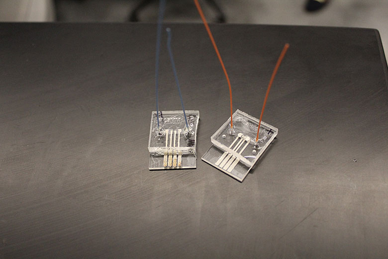 Two microfluidic chips used in the hands-on laboratory