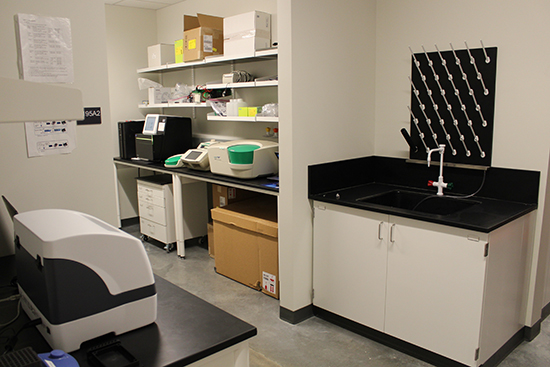 A wall with a sink and shelving, inside of the sequencing room