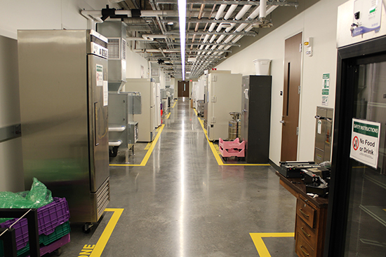 Utility hall between Soper laboratories