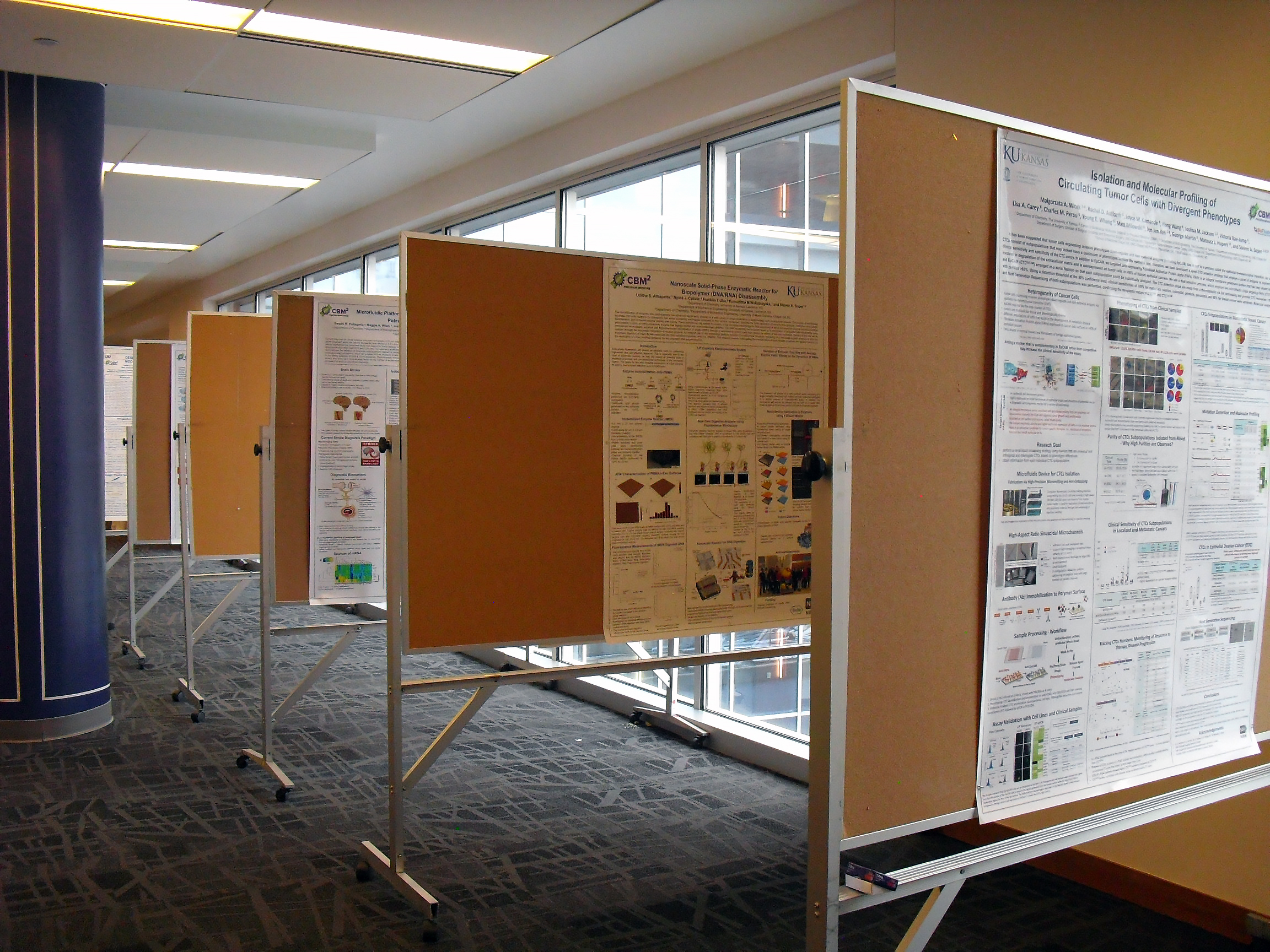 A row of six research posters displayed on stands, with no people present.