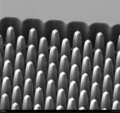 Monochrome microscale image displaying rows of conical structures. Measurement indicates "600 µm".
