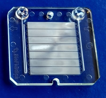 Clear plastic device with horizontal grooves, set on a blue background, marked with arrows and text "C. Biofluidica".