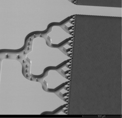 Monochrome microscale image showing intricate patterns, wavy structures adjacent to a fine-gridded area. Measurement indicates "600 µm".