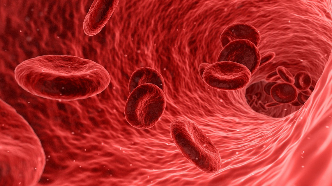 "Simulated magnified image of textured red blood cells flowing through a blood vessel."