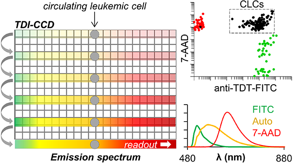 Diagram of a fluorescence detection setup for identifying leukemic cells, with emission spectrum and fluorescence marker graphs.