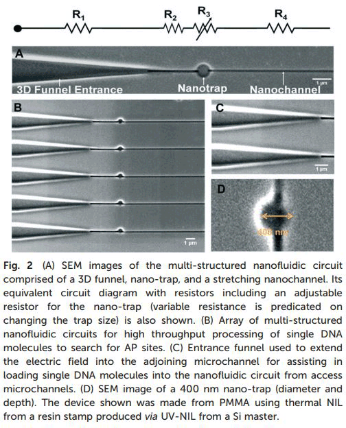 "Fig.2 (A) SEM images of the multi-structured nanofluidic circuit comprised of a 3D funnel, non-trap, and a stretching nanochannel. Its equivalent circuit diagram with resistors including an adjustable resistor for the nano-trap (variable resistance is predicated on changing the trap size) is also shown. (B) Array of multi-structured nanofluidic circuits for high throughput processing of single DNA molecules to search for AP site. (C) Entrance funnel used to extend the electric field into the adjoining microchennel for assisting in loading single DNA molecules into the nanofluidic circuit from access microchannels. (D) SEM image of a 400 nm nano-trap (diameter and depth). The device shown was made from PMMA using thermal NIL from a resin stamp produced via UV-NIL from a Si master."